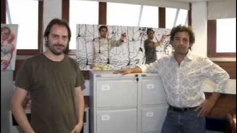 Beyond Text: Visual Perception in Arts and Neuroscience