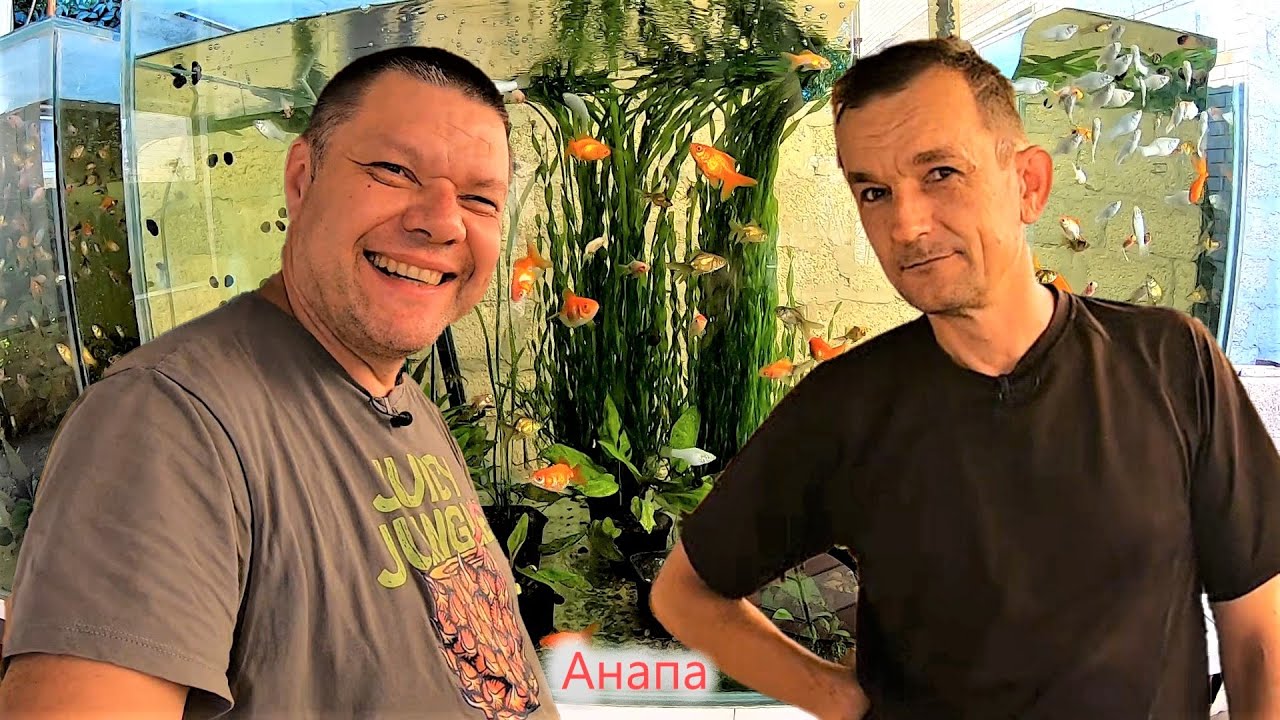 Мини-разводня в Благе