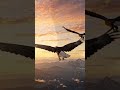Eagle's flying 🦅🦅❤️❤️... #remix