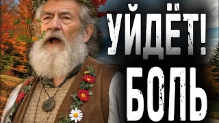 картинка: Покладите луковицы  на ноги, удивитесь результату в первую ночь, деревенский секрет здоровых людей