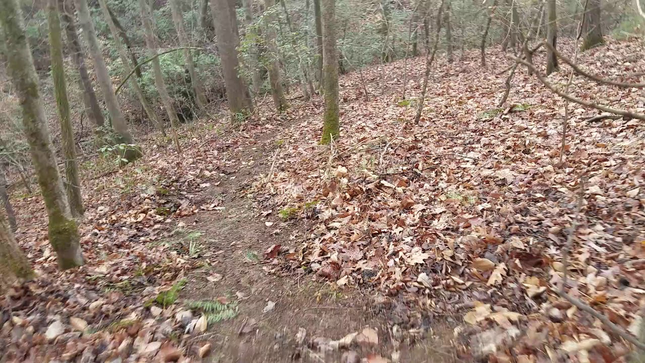 camera iphone 8 plus apk I built a trail to my bush craft camp