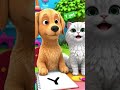 Y yet dog and cat read and sing song