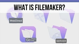 Celebrity What is FileMaker? | FileMaker 14 Video Training Profile