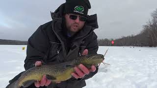 TWO FOOT long LAND-LOCKED SALMON caught with shiner UNDER THE ICE (Proper Identification of Salmon)