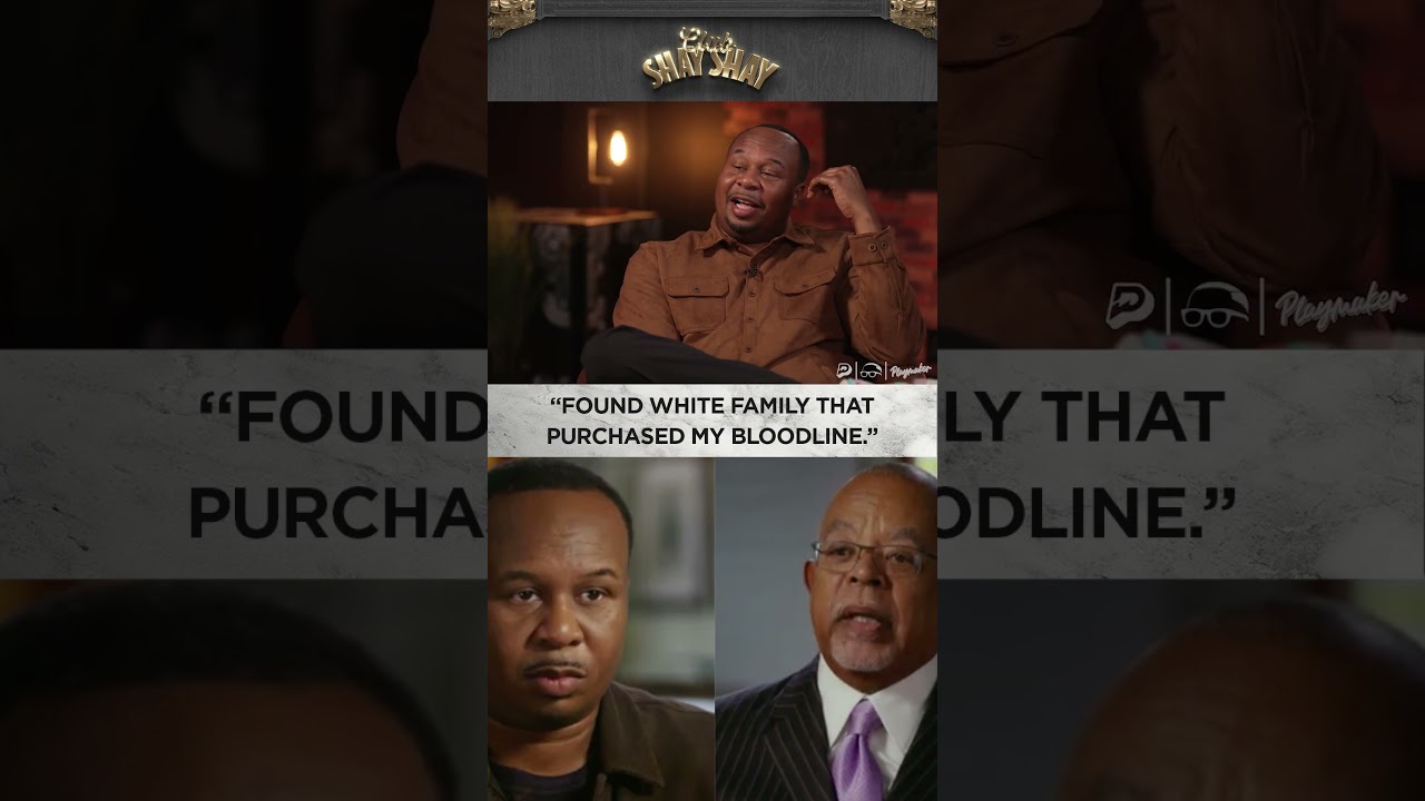 Нашел белую семью, которая купила мою родословную I CLUB SHAY SHAY
