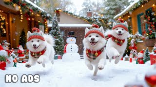 24 Hours of Dog TV for Dogs to Watch 🐕🎄 Winter Harmony Music for Energetic Dogs \u0026 Relaxed Hearts ❄️🛷