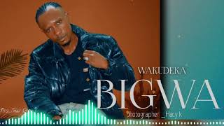 Download Lagu Wakudeka - Bigwa Official Music Audio ) MP3