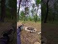 🍂 #solocamping #campfirecooking #forest #naturelovers #tired