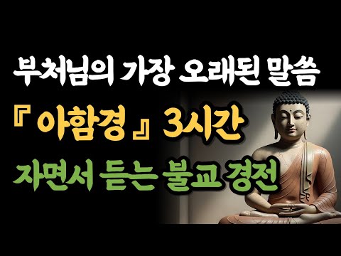 [자면서 듣는 불교 밤 명상 3시간]    자면서 듣는 불교 경전 『아함경』부처님의 가장  오래된 말씀 『아함경』 3시간  |   부처님 석가모니의 지혜