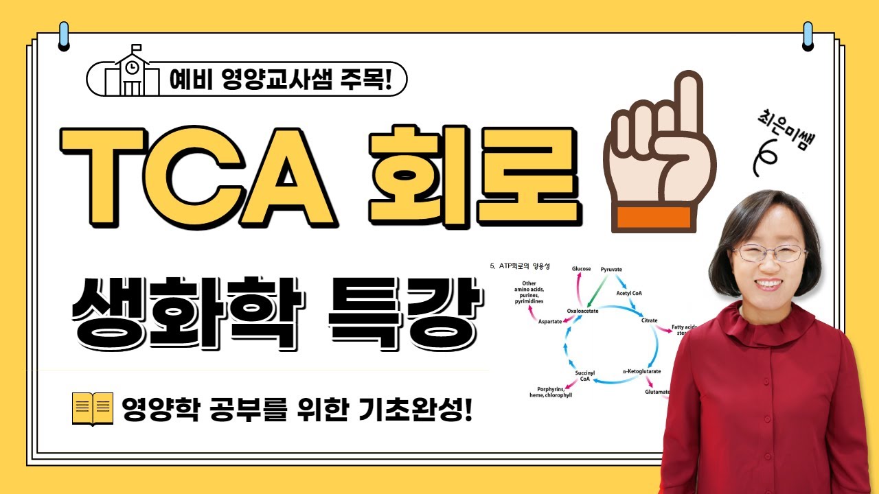 TCA 회로 1 / 영양교사 시험합격을 위한 생화학 기초완성!