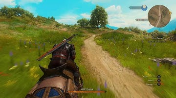 The Witcher 3 PS5 foliage pop in and sky flickering