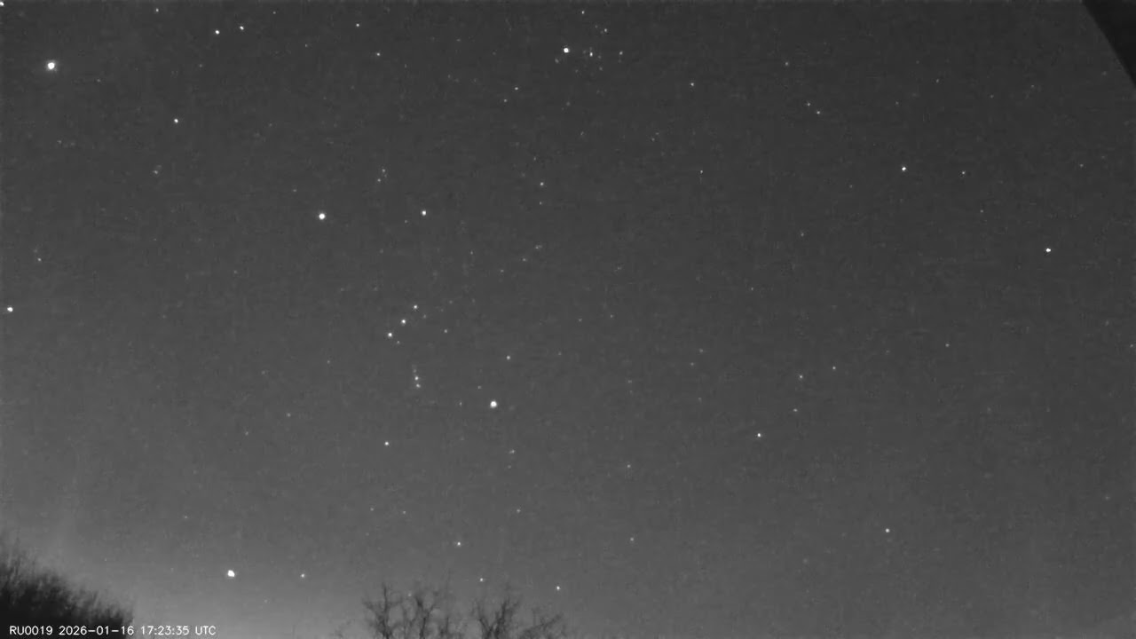 2026-01-17-RU0019-Кочеванчик