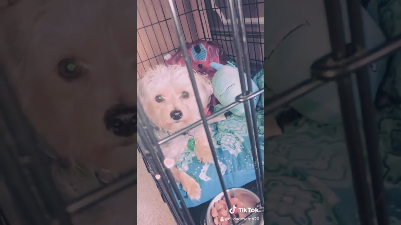 calcifer plush pattern