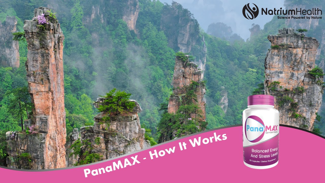 PanaMAX Optimized Panax Ginseng + Schisandra Extract: How It Works | Natrium Health
