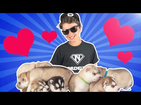 Nala Tuvo Crias!!