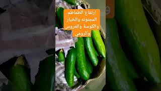 اسعار سوق الجملة بالسويس النويري النويري