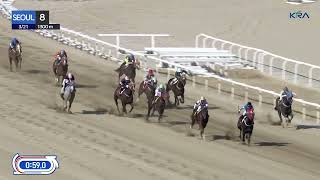 Vidéo de la course PMU RACE 8