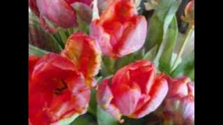 Gawan Bayi - Ita Suwardi