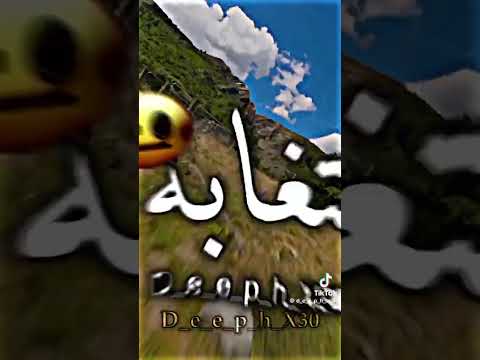 على ايه بتتصور بالاسلحه كلها كدابه