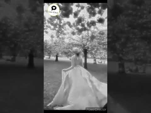 نانسي عجرم الدنيا حلوة واحلي سنين حالات واتس اب 