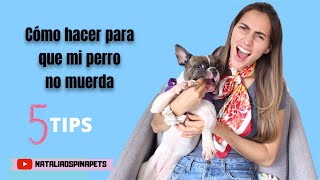 CÓMO EVITO QUE MI PERRO MUERDA Tips by Natalia Ospina