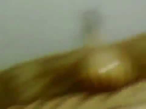 محمود العامري موال مع اغنية غريبة انت تريد تنساني