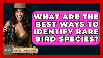 What Are The Best Ways To Identify Rare Bird Species? - Bird Watching Diaries