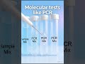 part 2 #neetbiology#tuberculosis#neetpreparation#humanhealthanddisease#biologyneet#neet2026#biology