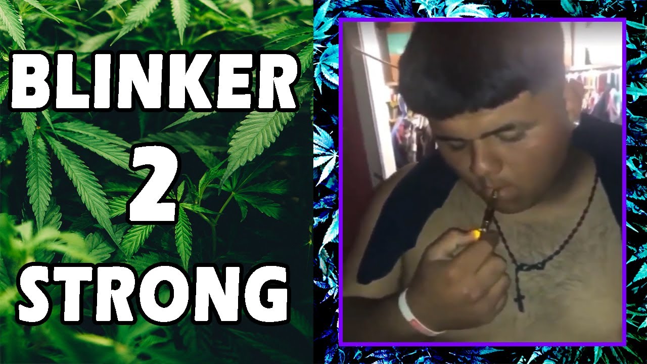 WEED MEMES & Fail Compilation [#84] - Fatally Stoned
