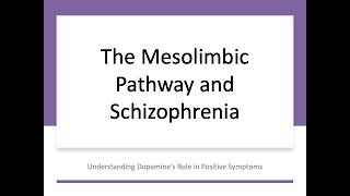 Mesolimbic Pathway Schizophrenia