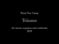 Capture de la vidéo Bram Van Camp - Träume For Mezzo Soprano And Orchestra (Christianne Stotijn, Mezzo)