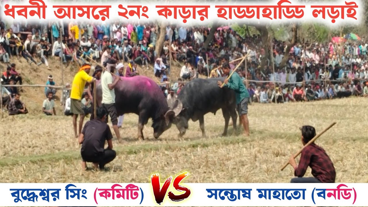 ধবনী আসরে ২নং কাড়ার হাড্ডাহাড্ডি লড়াই ! বুদ্ধেশ্বর সিং     Vs সন্তোষ মাহাতো (বনডি)