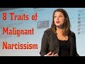 8 Signs of a Malignant Narcissist