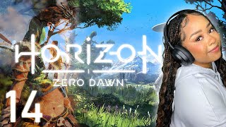 Enduring Victory | Horizon Zero Dawn, Part 14 (Twitch Playthrough)