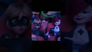 لقطات مضحكة للقط الأسود مع الدعسوقة ! 🤣