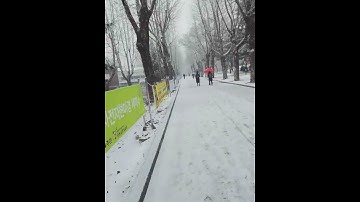 Tuyết rời Mùa đông ở Hàn Quốc
