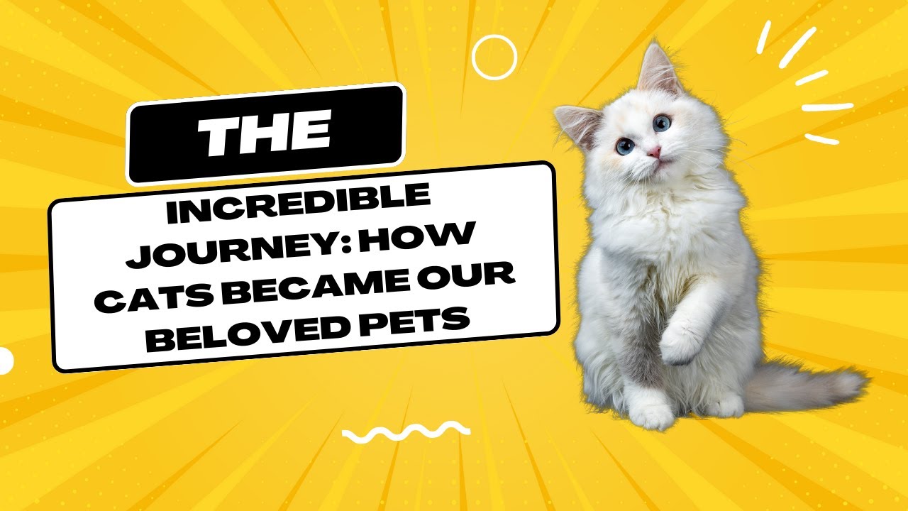 The Incredible Journey: How Cats Became Our Beloved Pets