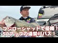 コジローシャッドで優勝！50アップの遠賀川バス！チャプター福岡開幕戦。