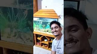 আমার মাছ গুলো আনেক বড় হয়ে গেছে।  Mahmud Pets ।   Agro ।  #farm #aquaculture #farming #fish #blog