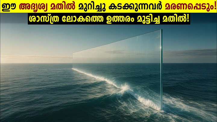 ഈ മതിൽ കടക്കുന്നവർ ജീവനോടെ തിരിച്ചു വരില്ല!😱 Wallace Line explained Malayalam |  Storify