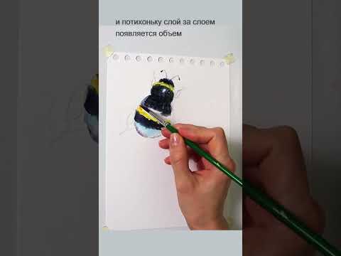 Шмель акварелью