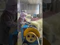 #How to make shoosh in factory #best shoosh#shoosh factory#conscientious cloth shoes!#shoosh,