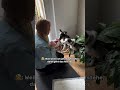 Familienfeier mit Hund🐶🫶🏻🤓😅