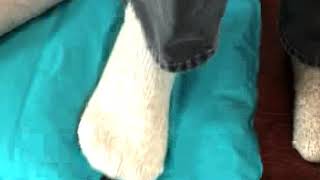 z-roll air mattress inflation