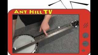 Ant Hill TV - How to install a banjo bridge