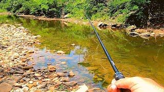 The BIG!! Bass were Exploding in Small Creek TOPWATER!!