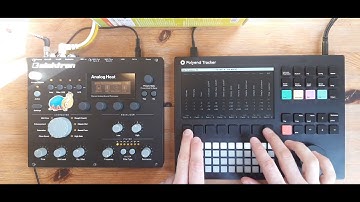 Tracker // Demo #2 // Jungle // March 22