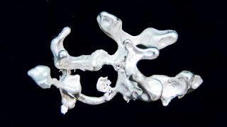 Casting Organic Silver Shapes Information