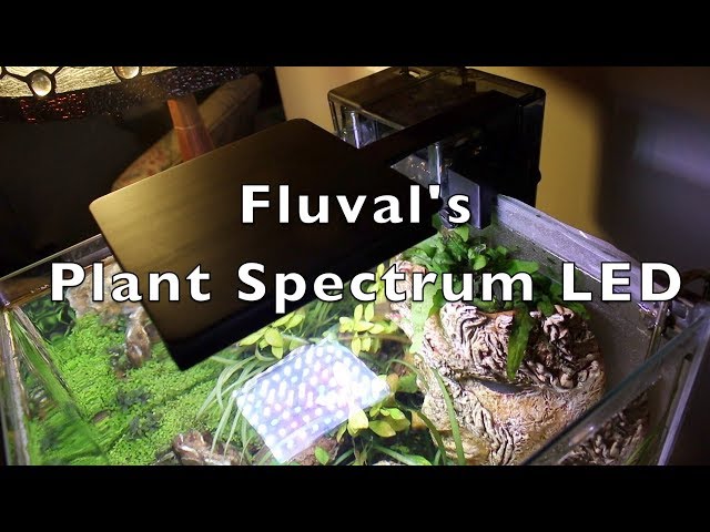 Amazon.com : Fluval Plant Nano LED Aquarium Lighting with