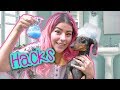 DOG HACKS | MUSAS LESSLIE LOS POLINESIOS